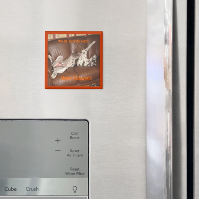 Imã O Grande Dane Comeu Demasiado Magneta De Doces Do  (In Situ (Fridge))