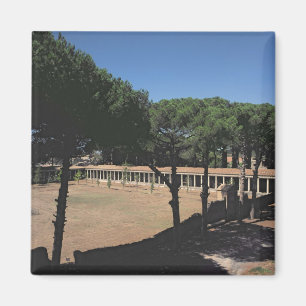 Imã O grande Palaestra
