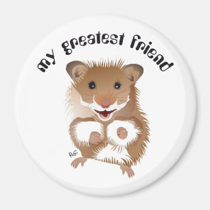 Imã o hamster meu amiguinho Magnet