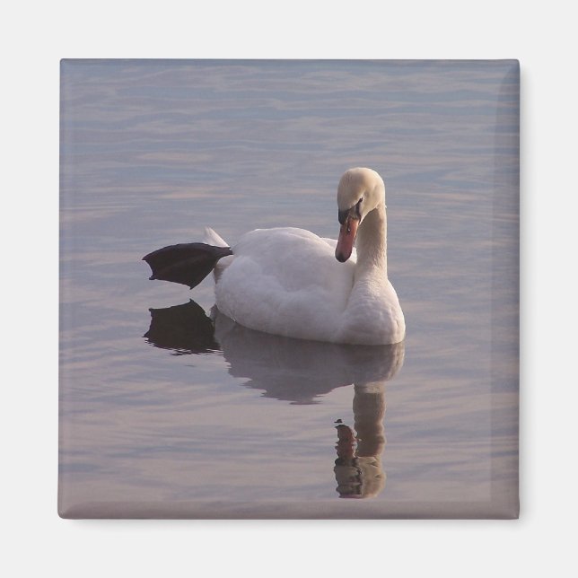 Imã O Hokey Pokey (Frente)