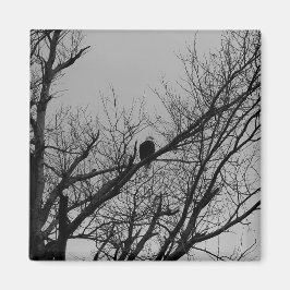 Imã O homem que toma o relógio