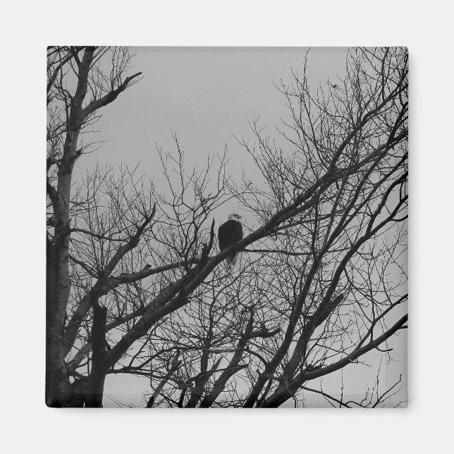 Imã O homem que toma o relógio (Frente)