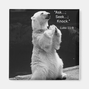 Imã o ímã com o urso polar que praying pede, procura