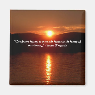 Imã O ímã da beleza dos seus sonhos