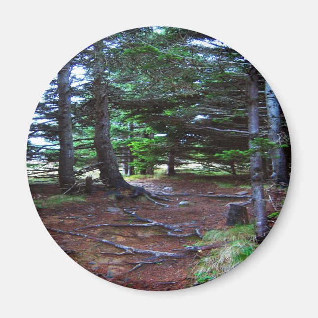 Imã O ímã da Escada da Natureza (Frente)