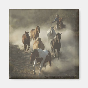 Imã O ímã da movimentação