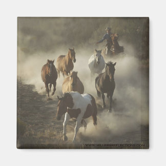 Imã O ímã da unidade