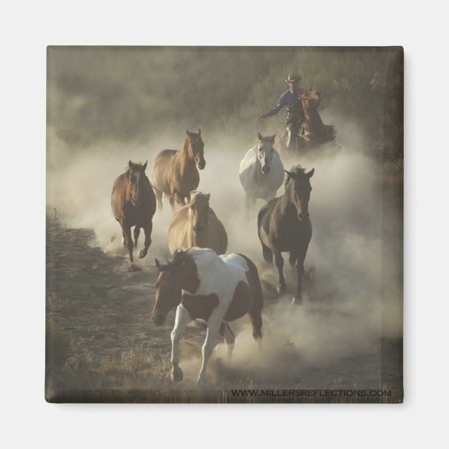 Imã O ímã da unidade (Frente)