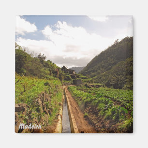 Imã O ímã Levada de Madeira faz Caniçal