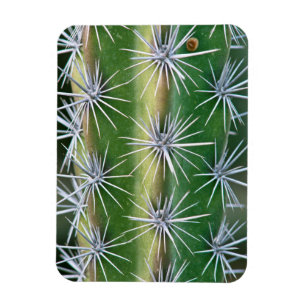 Ímã O Jardim Botânico Huntington, Cacto Polvo