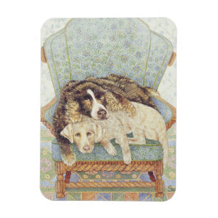 Ímã O jogo de espera