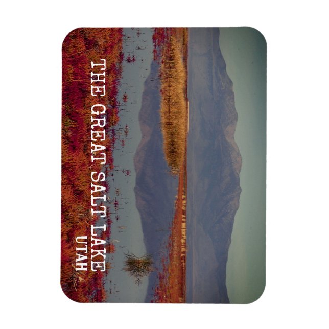 ÍMÃ O LAGO DE SAL EXCELENTE, NORTE UTAH (Vertical)