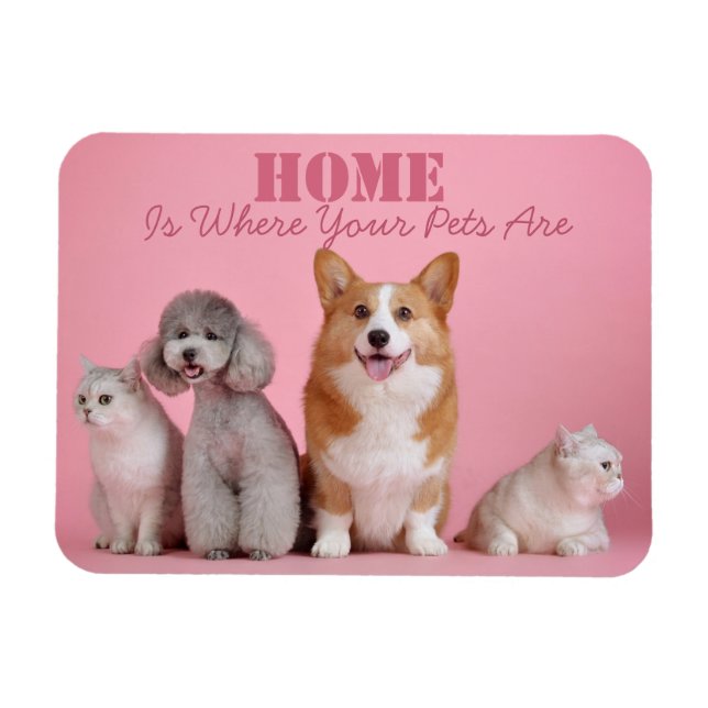 Ímã O Lar É Onde Estão Os Seus Animais (Horizontal)
