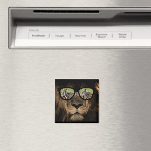 Imã O leão africano caça a zebra