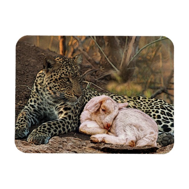 Ímã O leopardo deve deitar-se com o borrego-Isaiah 11 (Horizontal)