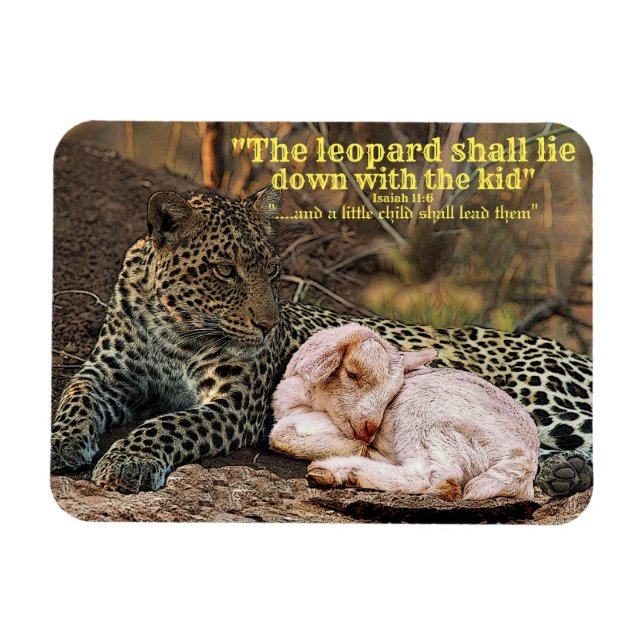 Ímã O leopardo encontrar-se-á para baixo com o (Horizontal)
