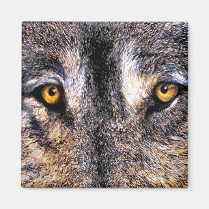 Imã O lobo Eyes o ímã