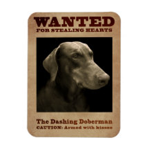 O Magnet Dashing Doberman