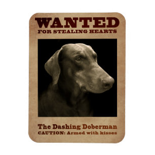 Ímã O Magnet Dashing Doberman