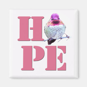 Imã O Magnet Fotográfico de Hummingbird de Anna Rosa-E