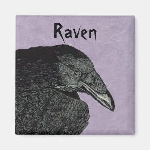 Imã O Magnet Raven