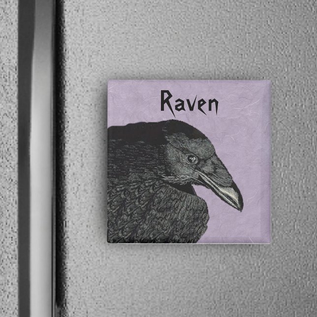 Imã O Magnet Raven (Head wing of black spooky Raven bird on marbled purple square magnet.)