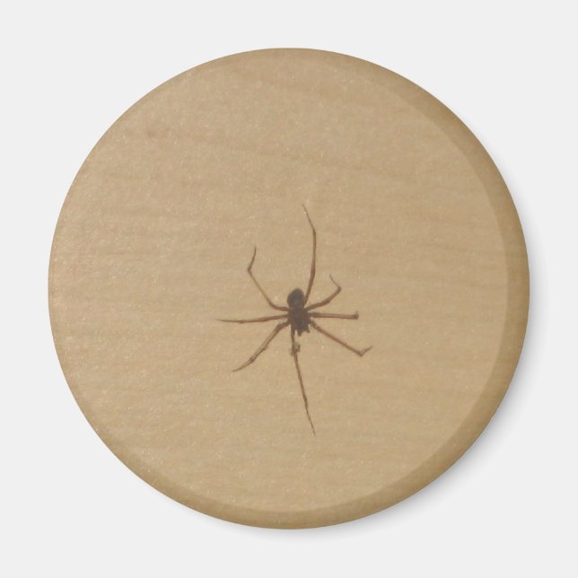 Imã O Magneta Aranha (Frente)