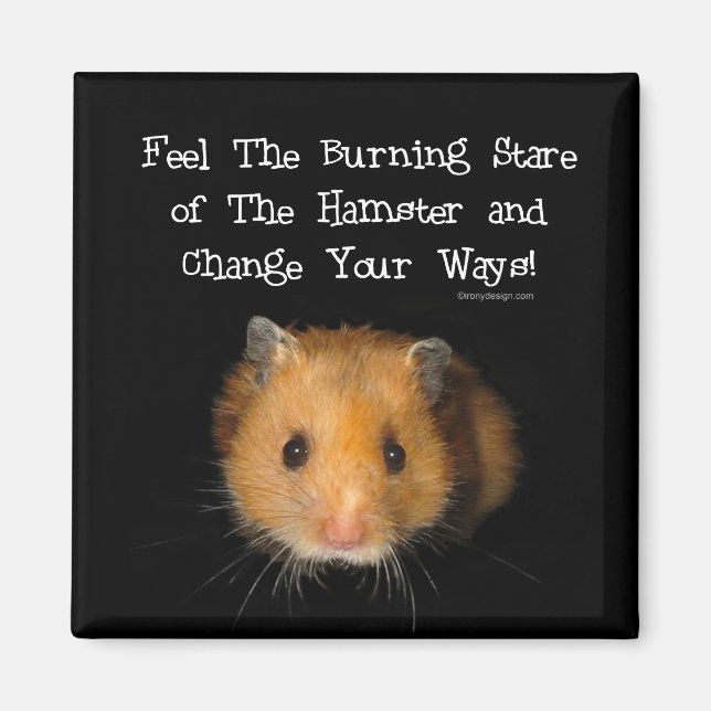 Imã O Magneta do Hamster (Frente)