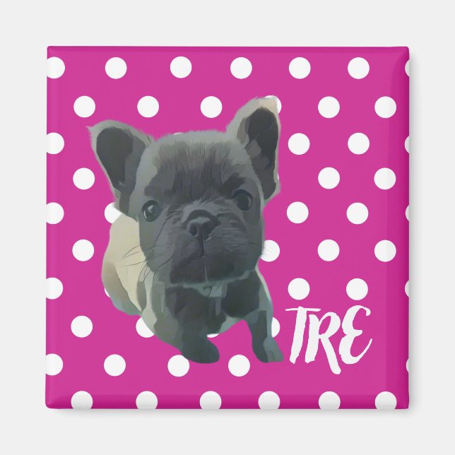 Imã O Magnete Louis - 20% de doação ao Expr de Emergên (Frente)