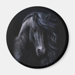 Imã O Magneto Negro