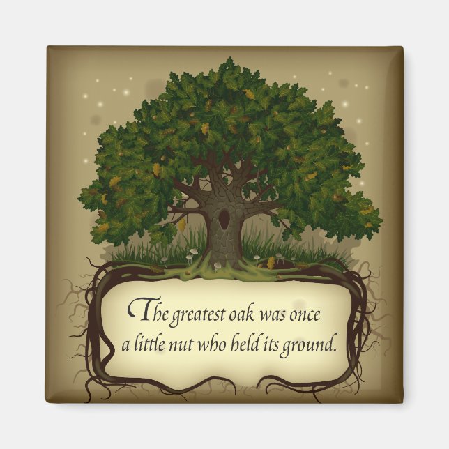 Imã O maior carvalho foi uma vez um pouco maluco que s (Frente)