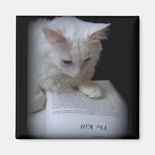 IMÃ O MATAR (Frente)