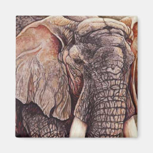 Imã O Matriarch - elefante africano