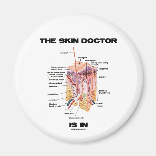 Imã O Médico Da Pele Encontra-Se (Atitude Dermatológic (Frente)