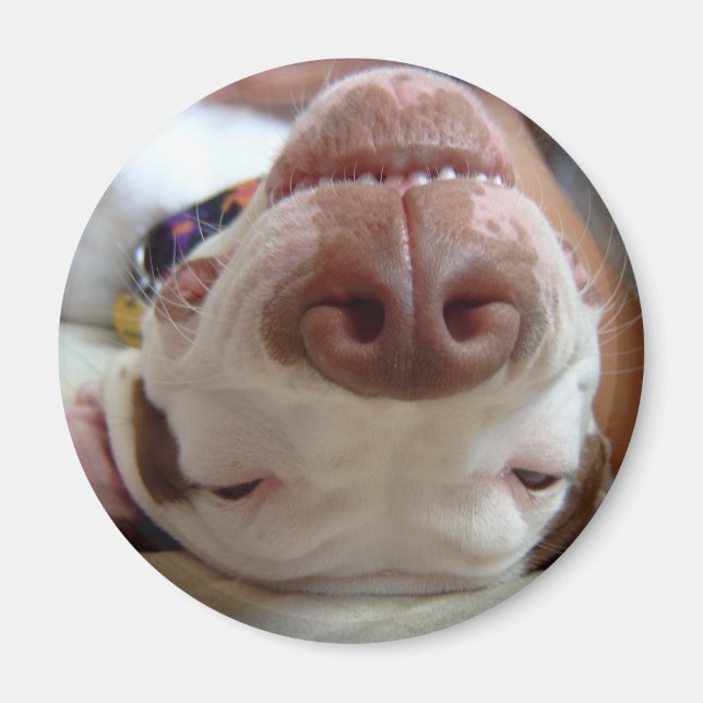 Imã O melhor dia da minha vida (Frente)