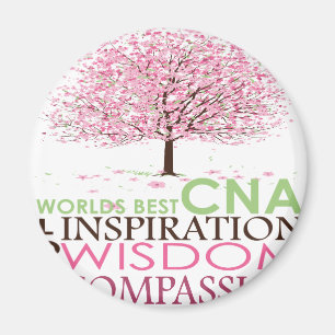 Imã O melhor do mundo PODE presentes