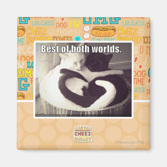 Imã O melhor dos dois mundos. (Frente)