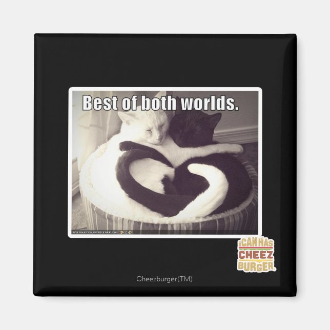 Imã O melhor dos dois mundos. (Frente)