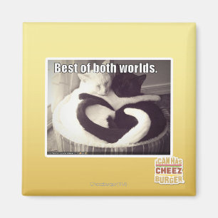 Imã O melhor dos dois mundos.