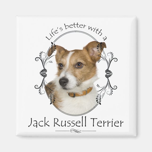 Imã O melhor Jack Russell Magnet (Frente)