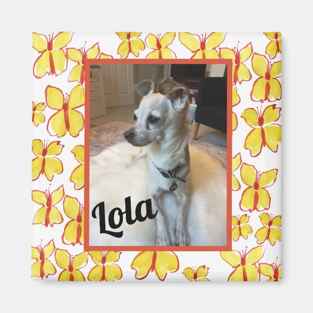 Imã O Meu Magneto de Fotografias Personalizado Pet (Frente)