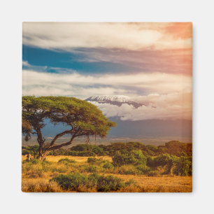 Imã O Monte Kilimanjaro   Amboseli, Kenya