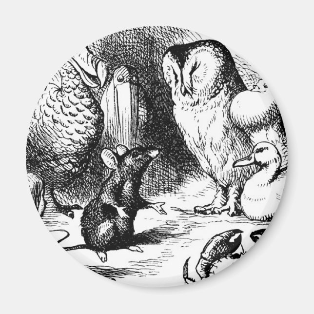 Imã O mouse e a história seca (Frente)