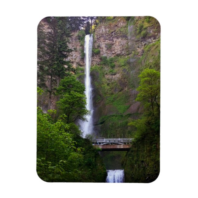 Ímã O Multnomah Cai No Reparo De Ponte, OU (Vertical)