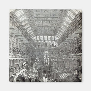 Imã O museu de Hunterian