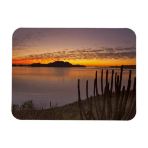Ímã O nascer do sol sobre a Isla Danzante no Golfo de