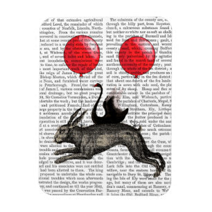 Ímã O navio de lebre