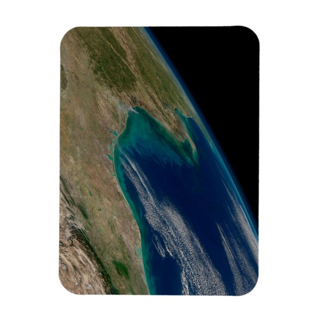 Ímã O Norte Golfo Do México. (Vertical)