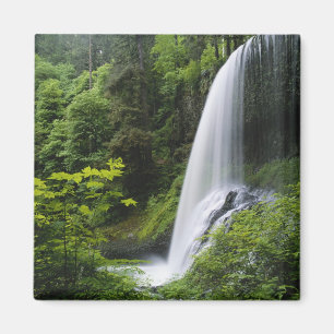 Imã O Norte Médio cai, Silver Falls State Park.