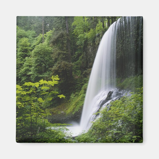 Imã O Norte Médio cai, Silver Falls State Park. (Frente)
